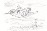 Hummingbird ride